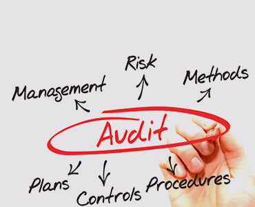 Audit Management