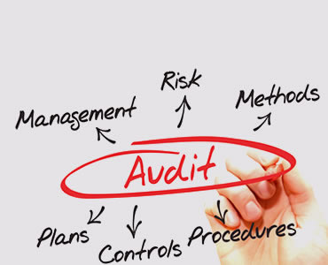 Audit Management Solutions