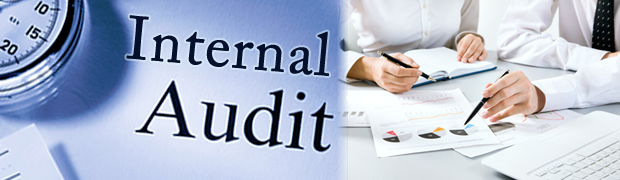 Impact of Internal Audits in business process