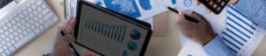 Internal Audit Software