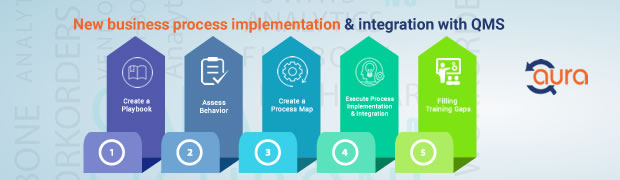 5 Steps for New Business Process Implementation and Integration with QMS